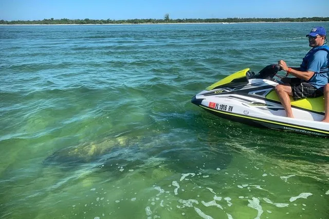 Marco Island Jet Ski Eco Tour - Image 5