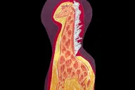 Asheville Custom Applique Sewing Workshop thumbnail 3