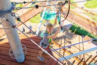 St. Louis Zipline and Adventure Tower thumbnail 4
