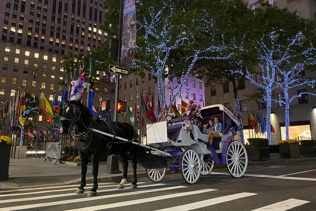 New York City Rockefeller Center Christmas Lights Carriage Ride - Image 6