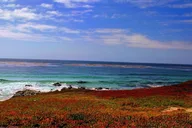 Carmel Monterey Highway 1 Tour thumbnail 2