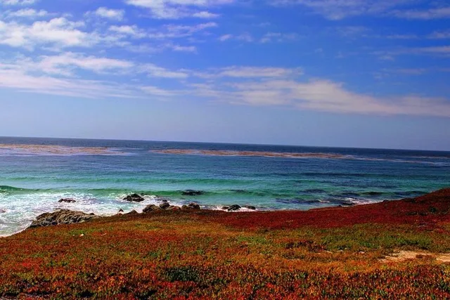 Carmel Monterey Highway 1 Tour - Image 2
