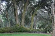 Orlando City Tour with Airboat Ride thumbnail 6