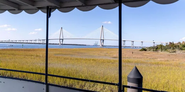 Charleston Harbor Sightseeing & Dolphin Watch Tour 1.5 hr - Image 4