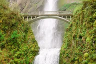 Portland Vistas, Falls & Gardens Tour thumbnail 2
