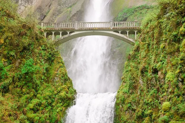 Portland Vistas, Falls & Gardens Tour - Image 2