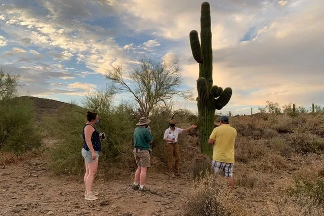 Scottsdale Sonoran Desert Jeep Tour - Image 1