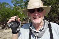 Everglades Small Group Boating and Walking Tour thumbnail 4