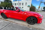 Miami Mustang Convertible Rental thumbnail 6