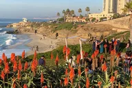 La Jolla Walking Tour thumbnail 4