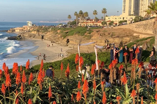 La Jolla Walking Tour - Image 4