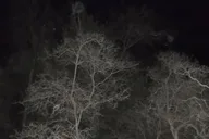 San Diego Ghost Tour with Paranormal Investigation 90 min thumbnail 6