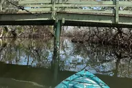 Tampa Kayak Tour at EG Simmons Park thumbnail 6