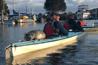 San Juan Islands Sea Kayak Tour thumbnail 2