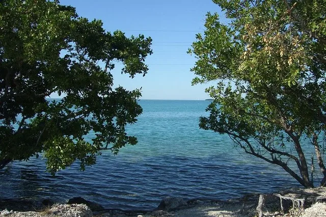 Miami Key Largo and Isla Morada Private Tour - Image 4