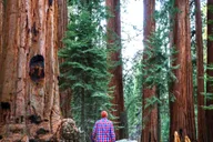 San Francisco Yosemite 3-Day Camping Adventure thumbnail 4