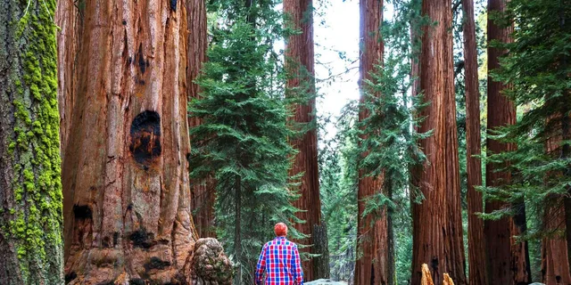 San Francisco Yosemite 3-Day Camping Adventure - Image 4
