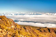 Kahului Haleakala Summit & Stroll thumbnail 6