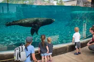 Columbus Attractions Pass thumbnail 2