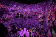 Washington DC Immersive Art Experience thumbnail 1