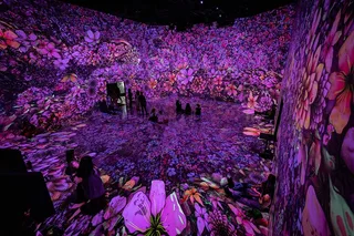Washington DC Immersive Art Experience