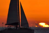 Key West Dolphin Watch and Sunset Sail thumbnail 4