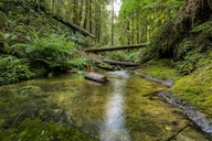 San Francisco Big Sur Private Tour thumbnail 4