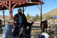Las Vegas Horseback Ride in Joshua Tree Forest thumbnail 3