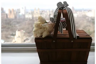 New York City Picnic Experience for Two