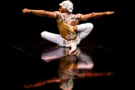 San Francisco Cirque du Soleil ECHO Show thumbnail 3