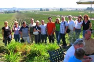 Sonoma Valley Wine Country Custom Tour thumbnail 6