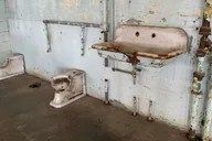San Francisco Alcatraz, Muir Woods, and Sausalito Tour thumbnail 4