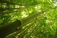 Maui North Shore Photography Tour thumbnail 4