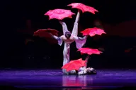 Branson Grand Shanghai Circus Show thumbnail 6