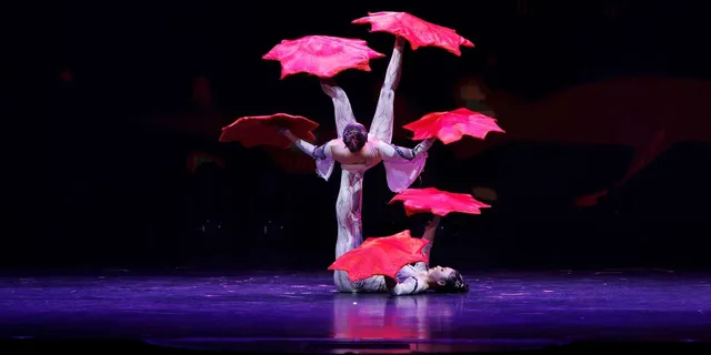 Branson Grand Shanghai Circus Show - Image 6
