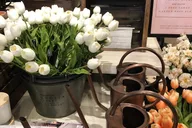 Dallas Waco & Magnolia Market Day Tour thumbnail 3