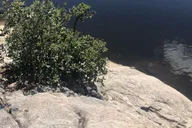 Tucson Bio Zone Mountain Tour thumbnail 4