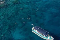 Kailua-Kona Snorkeling Tour with Lunch 4 hr thumbnail 2