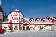 Fairbanks Winter City Tour and Dog Sledding thumbnail 3