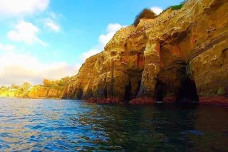 La Jolla Sea Caves Kayak Tour