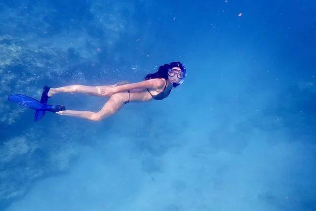 Big Pine Key Snorkel Tour at Looe Key - Image 4