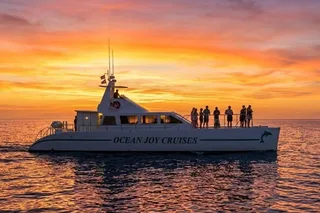 Oahu Snorkel Sunset Cruise with Whale and Dolphin Watch