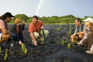 Big Island Volcano, Chocolate & Waterfall Adventure thumbnail 3