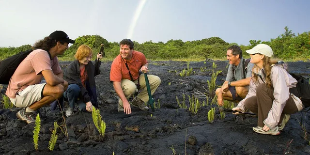 Big Island Volcano, Chocolate & Waterfall Adventure - Image 3