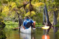 Orlando Alligator Kayak Experience thumbnail 3