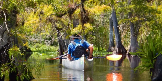 Orlando Alligator Kayak Experience - Image 3
