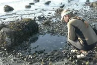 Seattle Alki Lighthouse Sea Kayak Tour 3 hr thumbnail 3