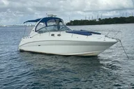 Miami Yacht Cruise thumbnail 3