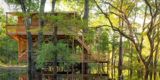 Myrtle Beach Treehouse Adventure - Image 4