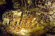 Southern Black Hills Wind Cave and Wildlife Tour thumbnail 4